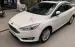 Bán Ford Focus 1.5 Ecoboost Titanium, Sx 2018, Màu Trắng, ODO 134.000Km.