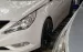 Em cần nhượng lại chiếc xe Hyundai Sonata Y20 , đăng ký lần đầu 31/12/2010