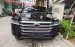 Toyota Land Cruiser LC300 Đen nt đen  2025 Mới 100%, xe em đang có sẵn,