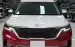 Bán KIA Canival Roya 04 chỗ siêu VIP, phiên bản giới hạn,sản xuất 2023