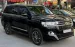 Bán Land Cruiser 4.6V8 4 chỗ siêu VIP, sản xuất 2020. xe cực mới.