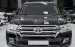 Bán Toyota Land Cruiser 4.6 V8, sản xuất 2019.Xe cực đẹp.