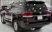 Bán Toyota Land Cruiser 4.6 V8, sản xuất 2019.Xe cực đẹp.