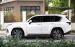 Bán Lexus LX600 Urban 7 chỗ, sản xuất 2023. Xe cực mới.