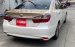 Toyota Camry 2.5Q 2018