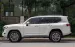 TOYOTA LAND CRUISER LC300 – TRẮNG/KEM ĐẲNG CẤP
