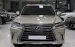 Bán Lexus LX570 sản xuất 2016 màu vàng cát.